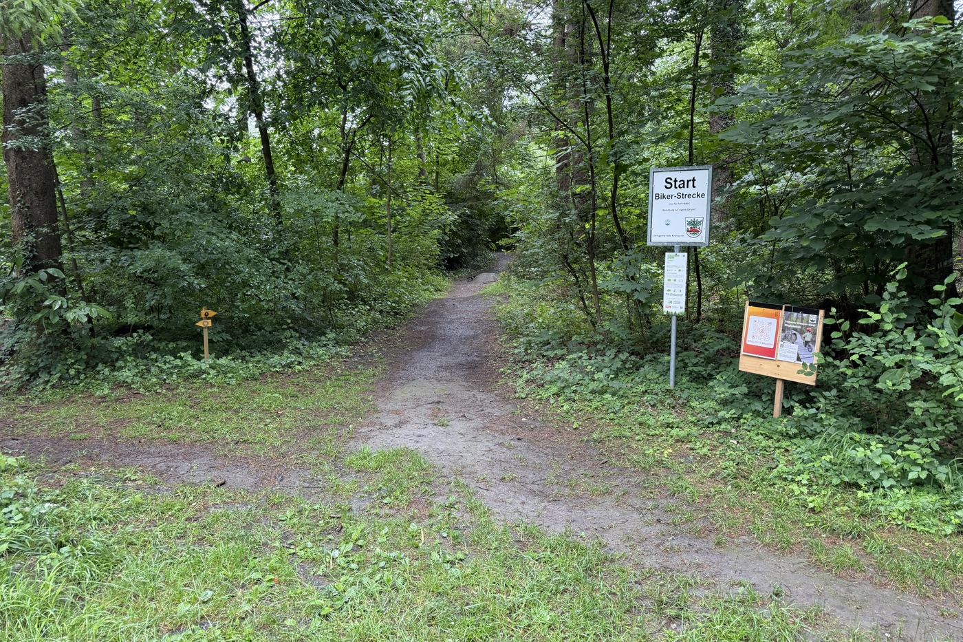 Das Kriessner Wäldli heute: Waldweg mit Startschild