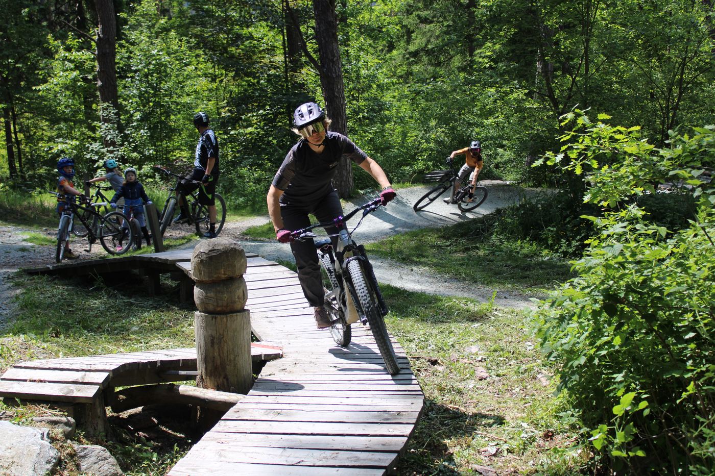 Mehrere Biker fahren über einen Holzsteg im Wald